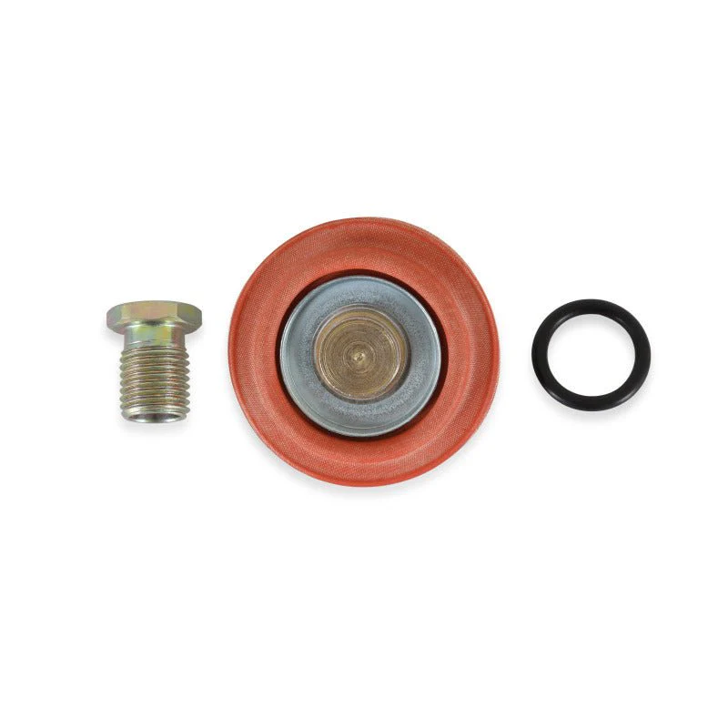 AEM Universal Fuel Pressure Regulator Rebuild Kit - Image 4