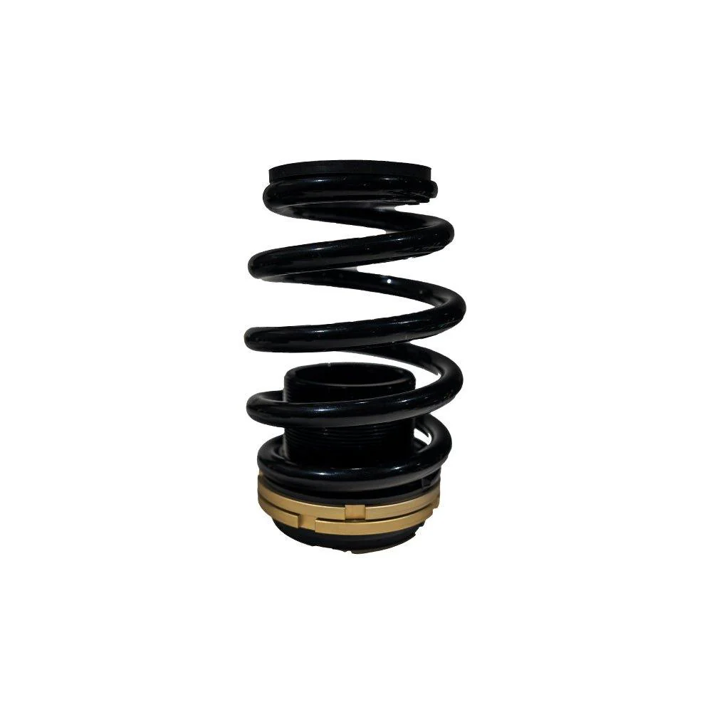 BLOX Racing Plus Series Pro Coilovers - 12-13 Civic Si - Image 5