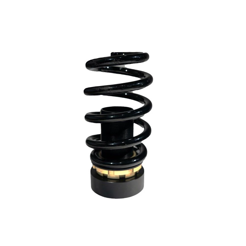 BLOX Racing Plus Series Pro Coilovers - 17-21 Civic Hatchback 52mm - Image 5