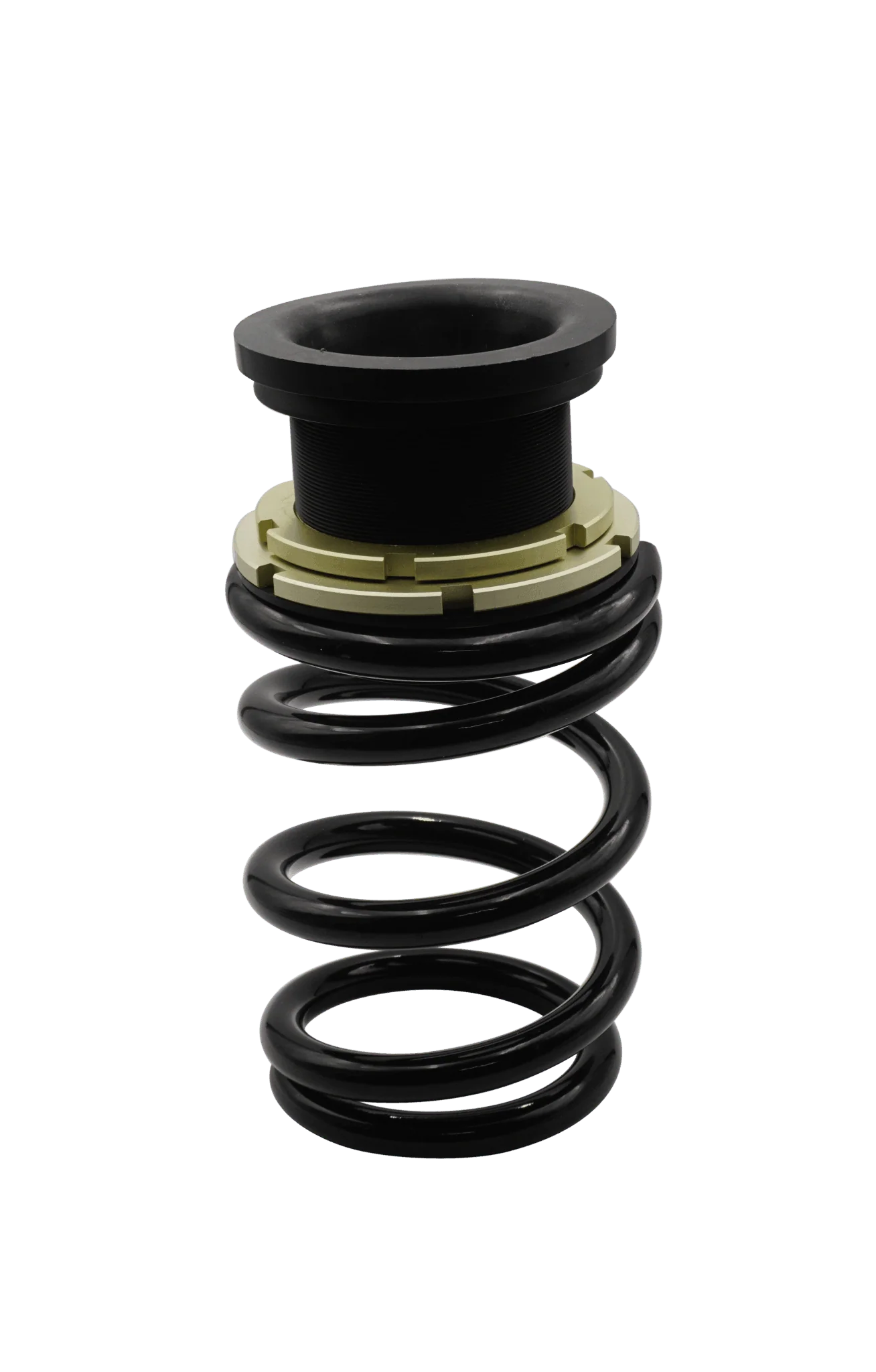 BLOX Racing Plus Series Pro Coilovers - 20+ Model Y - Image 3