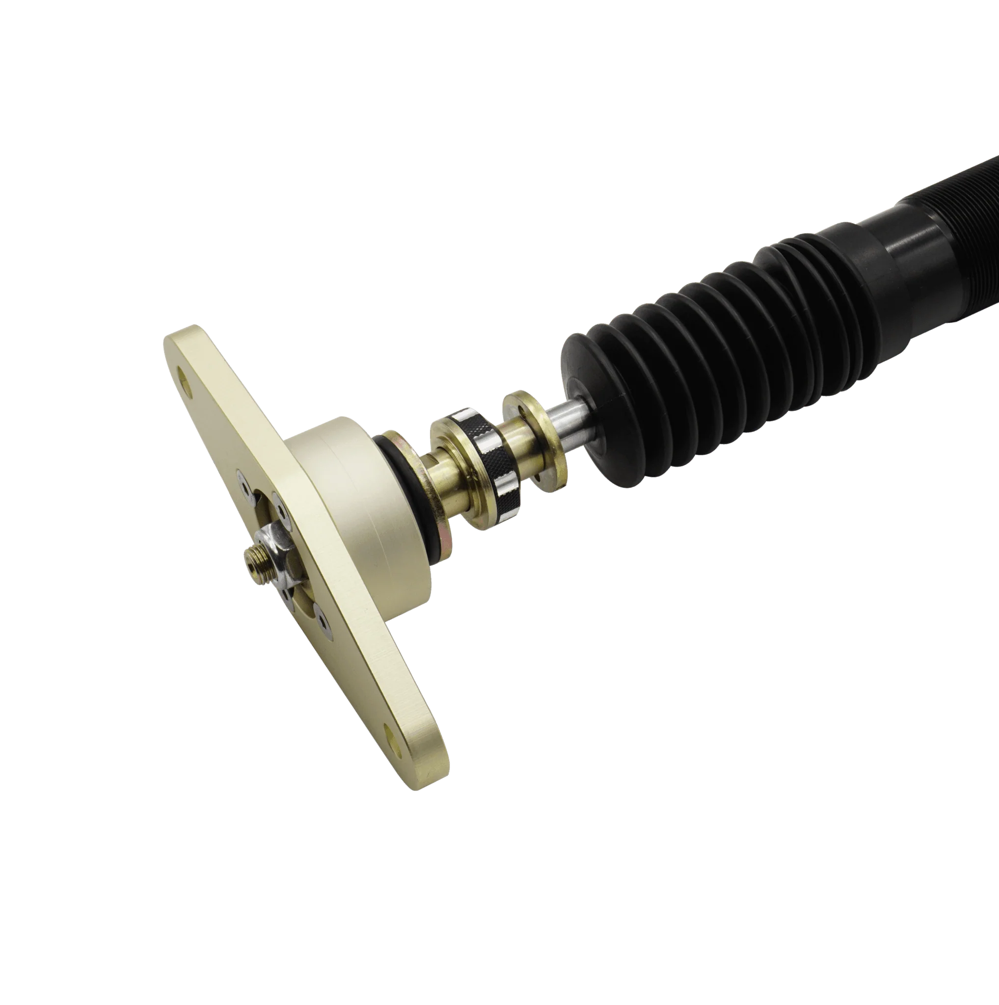 BLOX Racing Plus Series Pro Coilovers - 20+ Model Y - Image 7