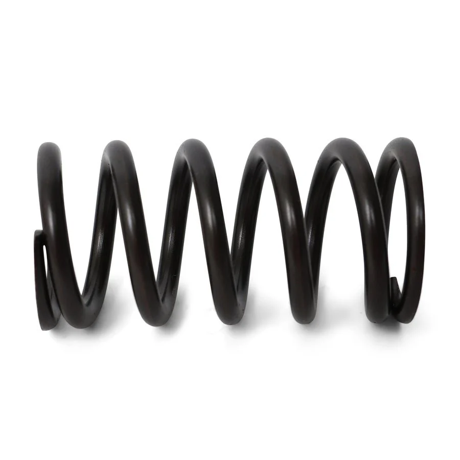 BLOX Racing Valve Springs - F-Series DOHC VTEC - Image 3