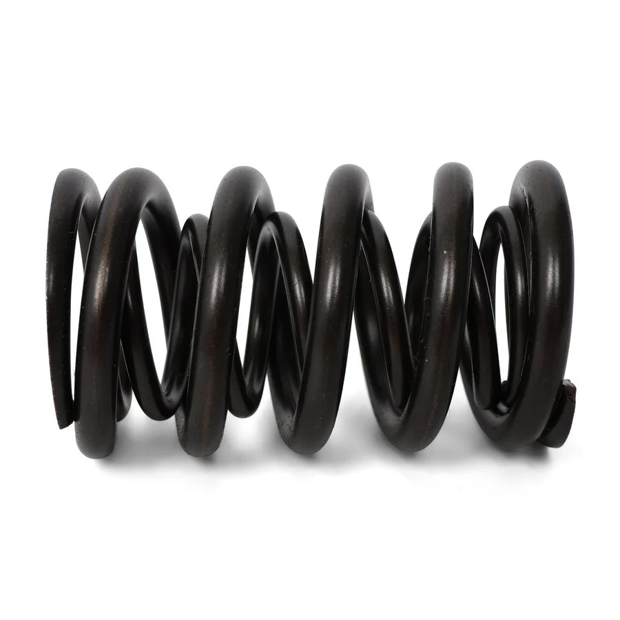 BLOX Racing Valve Springs - F-Series DOHC VTEC - Image 7