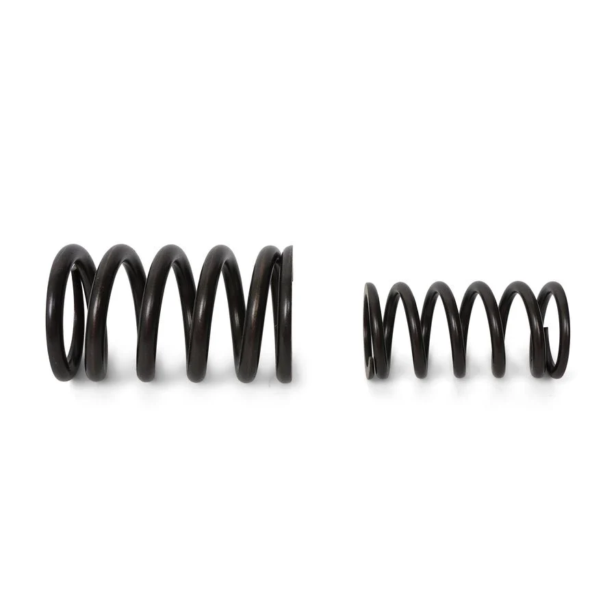 BLOX Racing Valve Springs - F-Series DOHC VTEC - Image 9
